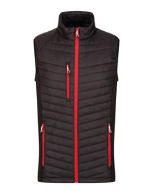 Alternative view of TRA894 Regatta Bodywarmer